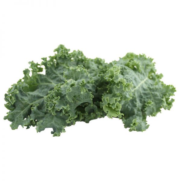 Kale biologique