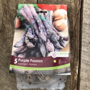 Asperge Purple Passion