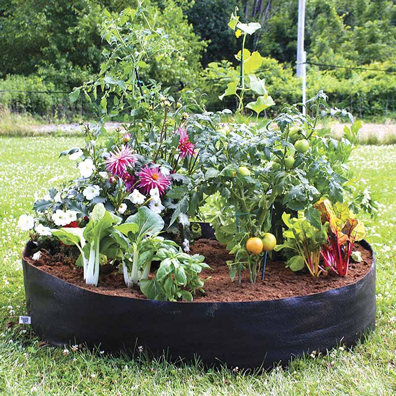 big bag bed mini smart pot