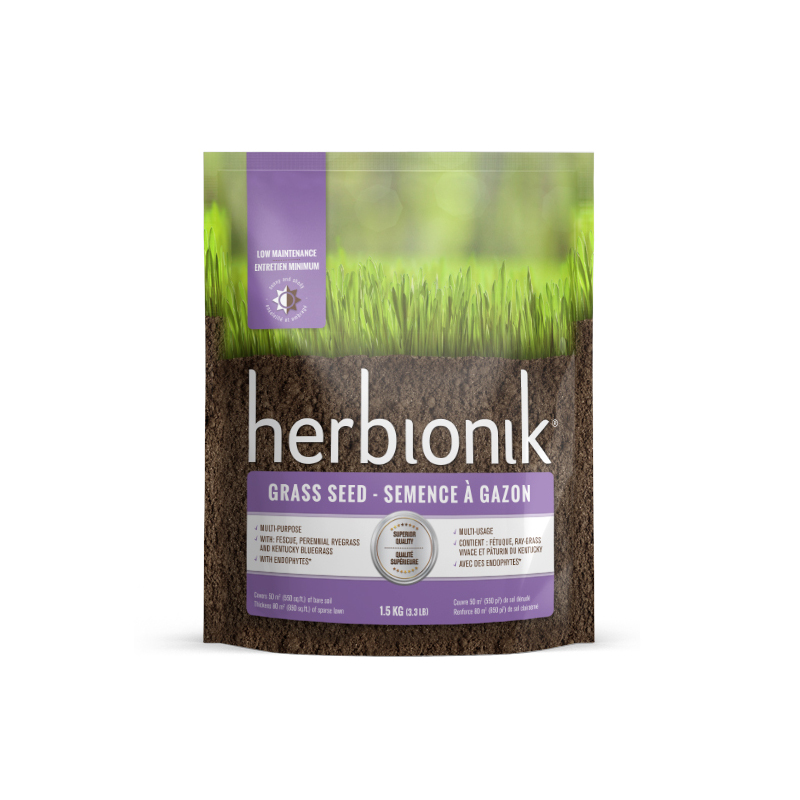 Semences à gazon Entretien minimum