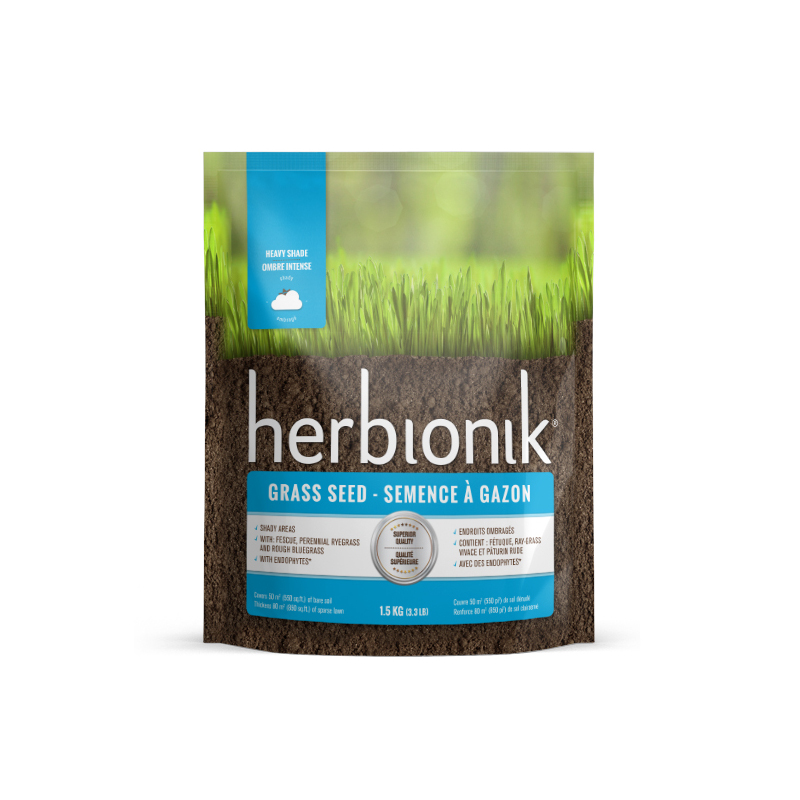 Semences à gazon Ombre intense