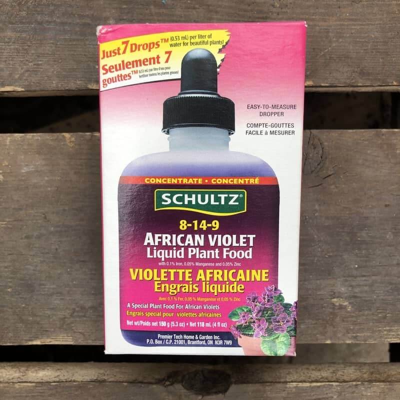 Engrais pour violettes africaines