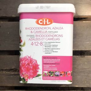engrais rhododendron