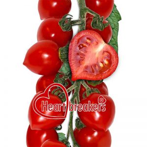 tomate heart breakers