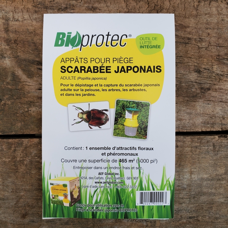 Appâts piège scarabées japonais