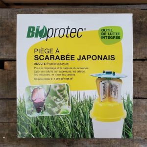 Piège à scarabées japonais