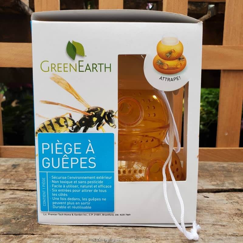 Piège à Guêpes