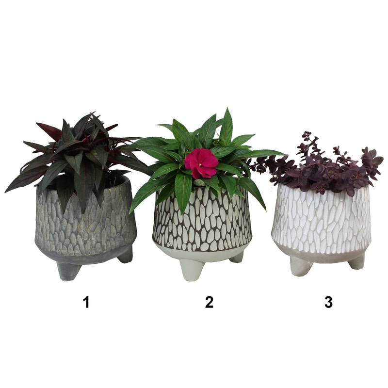 Pot en ciment sur pattes