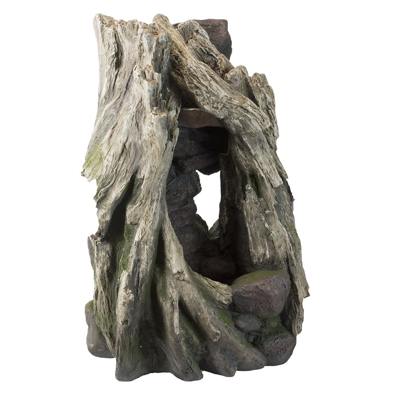 Fontaine creux d'arbre