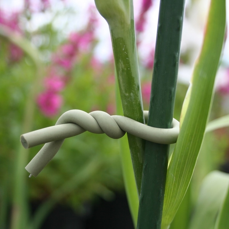 Attache souple pour le jardin