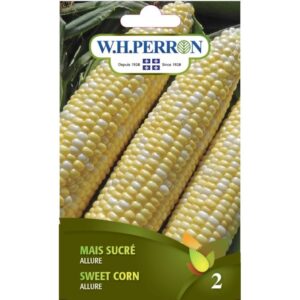 Maïs sucré Allure