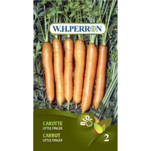 Carotte Little Finger