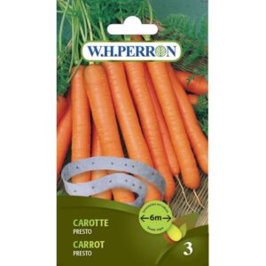 Carotte Presto