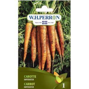 Carotte Imperator