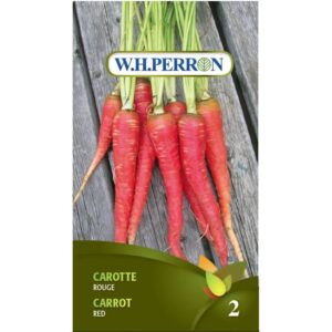 Carotte Rouge