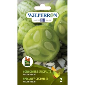 Concombre Spécialité Mouse Melon