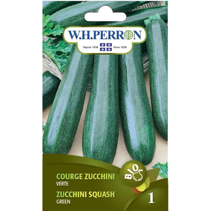 Courge Zucchini Verte