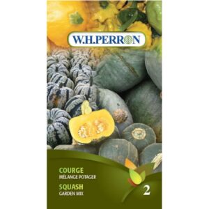 Courge mélange potager