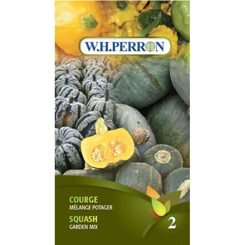 Courge mélange potager