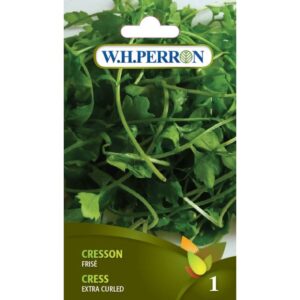 Cresson Frisé