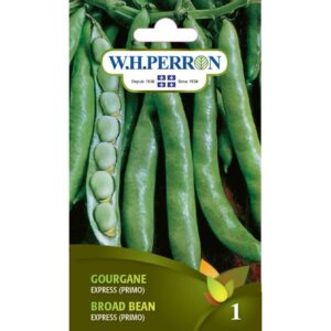 Gourgane Express (Primo)