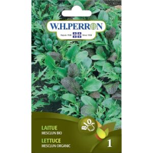 Laitue Mesclun Bio