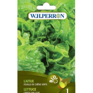 Laitue Feuille de Chêne Verte