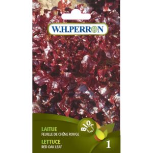 Laitue Feuille de Chêne Rouge
