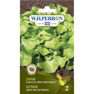Laitue Feuille de Chêne Verte Panisse