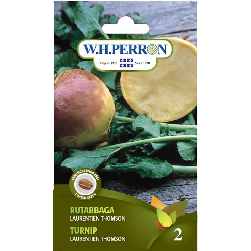 Rutabbaga Laurentien Thomson