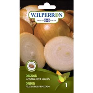 Oignon Espagnol Jaune Delgado