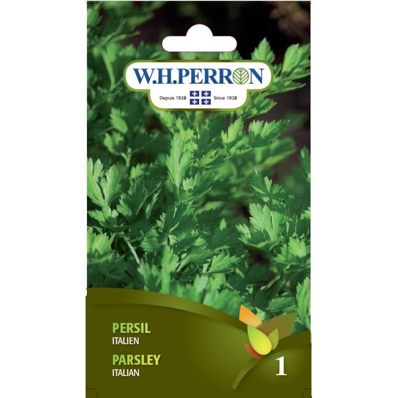 Persil italien