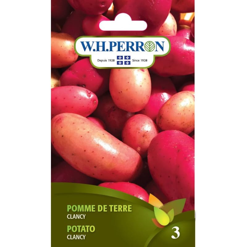 Pomme de terre clancy