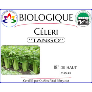 Plant de Céleri Tango
