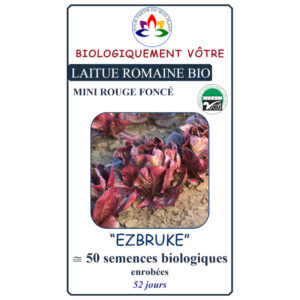 Laitue Romaine Mini Rouge Foncé Ezbruke