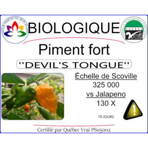 Plant de piment fort Devil's Tongue