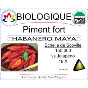 Plant de piment fort Habanero Maya