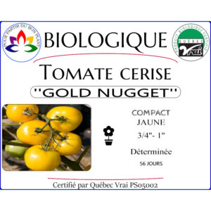 Plant de tomate cerise Gold Nugget
