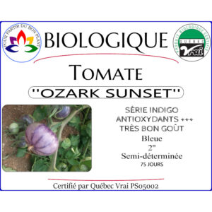 Plant de tomate Ozark Sunset