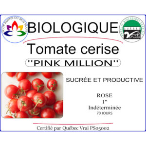 Plant de tomate Pink Million