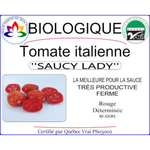 Plant de tomate Italienne Saucy Lady