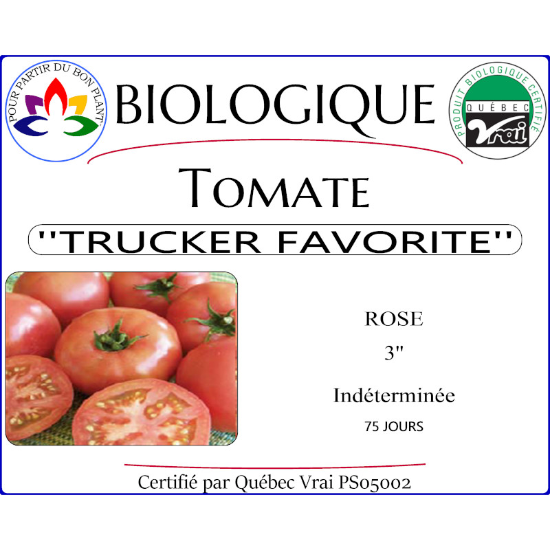 Plant de tomate Trucker's Favorite