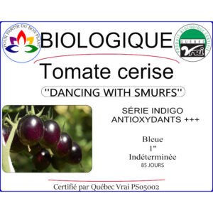 Plant de tomate cerise Dancing with Smurfs