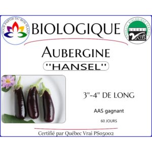 Plant d'aubergine Hansel