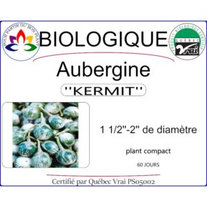 Plant d'aubergine Kermit