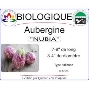 Plant d'aubergine Nubia