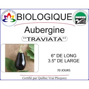 Plant d'aubergine Traviata