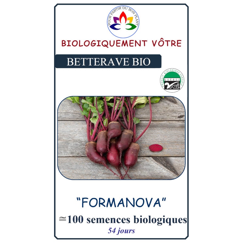 Betterave Formanova