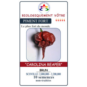 Piment Fort Carolina Reaper Brun