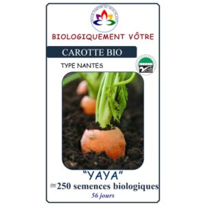 Carotte Yaya
